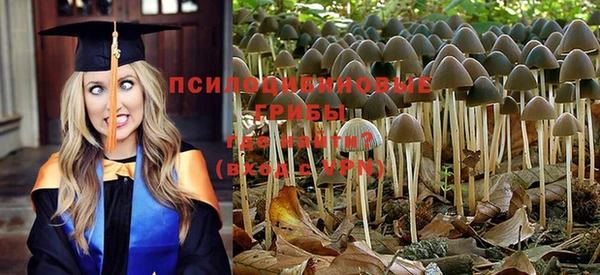 сатива Майский