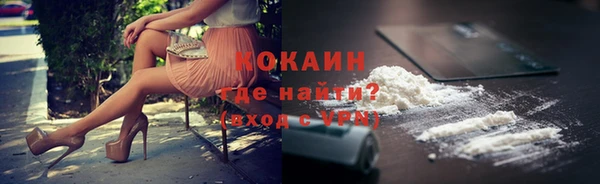 прущие грибы Магадан