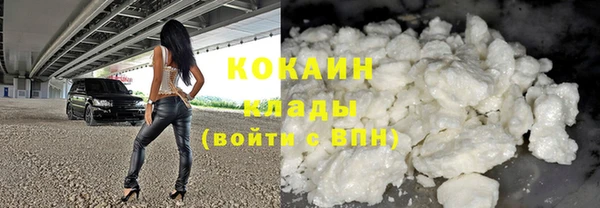 прущие грибы Магадан