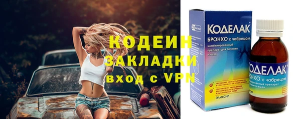 прущие грибы Магадан