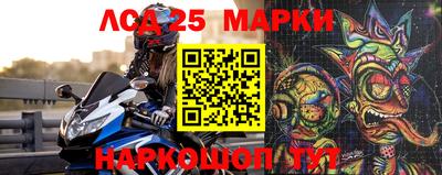 молекула духа Будённовск