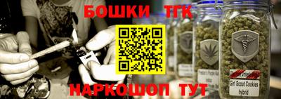 молекула духа Будённовск