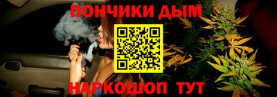 молекула духа Будённовск